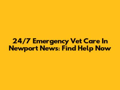 24/7 Emergency Vet Care In Newport News: Find Help Now