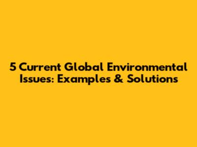 5 Current Global Environmental Issues: Examples & Solutions