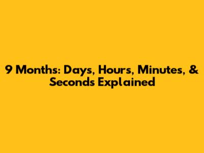 9 Months: Days, Hours, Minutes, & Seconds Explained