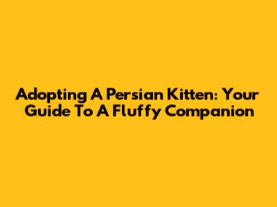 Adopting A Persian Kitten: Your Guide To A Fluffy Companion