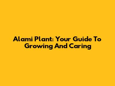 Alami Plant: Your Guide To Growing And Caring