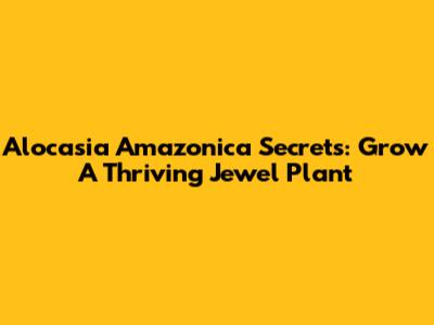Alocasia Amazonica Secrets: Grow A Thriving Jewel Plant