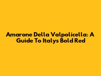 Amarone Della Valpolicella: A Guide To Italy's Bold Red