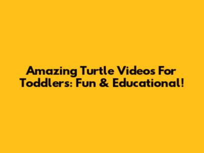 Amazing Turtle Videos For Toddlers: Fun & Educational!