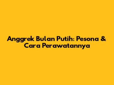 Anggrek Bulan Putih: Pesona & Cara Perawatannya