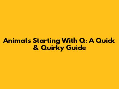 Animals Starting With Q: A Quick & Quirky Guide