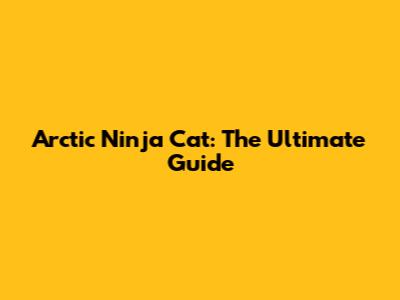 Arctic Ninja Cat: The Ultimate Guide