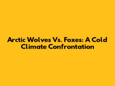 Arctic Wolves Vs. Foxes: A Cold Climate Confrontation