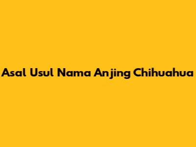 Asal Usul Nama Anjing Chihuahua