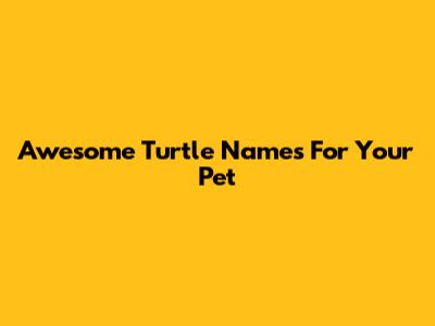 Awesome Turtle Names For Your Pet