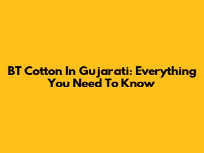 BT Cotton In Gujarati: Everything You Need To Know