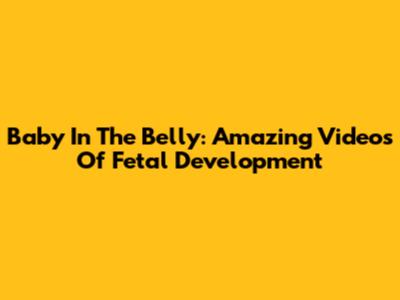 Baby In The Belly: Amazing Videos Of Fetal Development