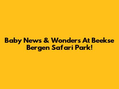 Baby News & Wonders At Beekse Bergen Safari Park!