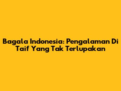 Bagala Indonesia: Pengalaman Di Taif Yang Tak Terlupakan