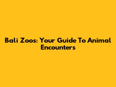 Bali Zoos: Your Guide To Animal Encounters