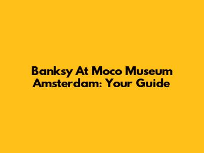 Banksy At Moco Museum Amsterdam: Your Guide