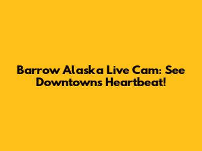 Barrow Alaska Live Cam: See Downtown's Heartbeat!