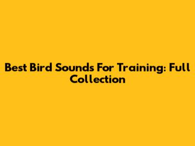 Best Bird Sounds For Training: Full Collection