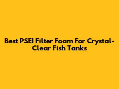 Best PSEI Filter Foam For Crystal-Clear Fish Tanks