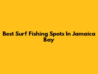 Best Surf Fishing Spots In Jamaica Bay