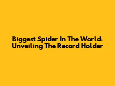 Biggest Spider In The World: Unveiling The Record Holder