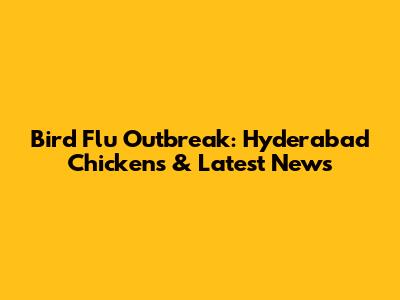 Bird Flu Outbreak: Hyderabad Chickens & Latest News