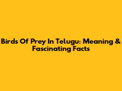 Birds Of Prey In Telugu: Meaning & Fascinating Facts
