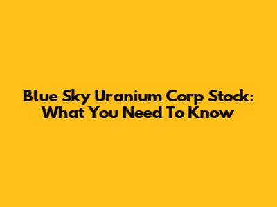 Blue Sky Uranium Corp Stock: What You Need To Know