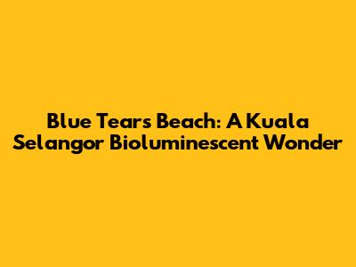 Blue Tears Beach: A Kuala Selangor Bioluminescent Wonder