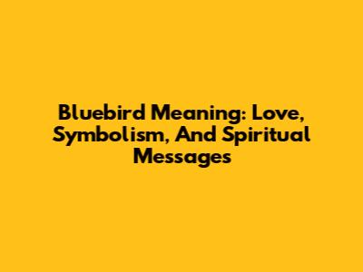Bluebird Meaning: Love, Symbolism, And Spiritual Messages