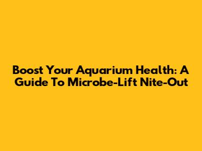 Boost Your Aquarium Health: A Guide To Microbe-Lift Nite-Out