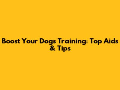 Boost Your Dog's Training: Top Aids & Tips