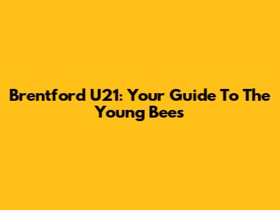 Brentford U21: Your Guide To The Young Bees