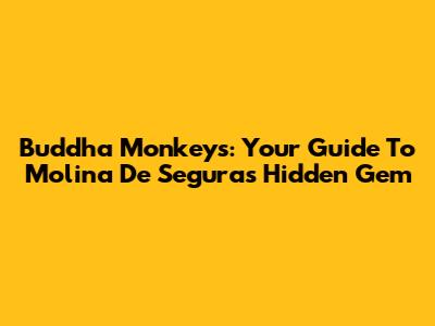 Buddha Monkeys: Your Guide To Molina De Segura's Hidden Gem