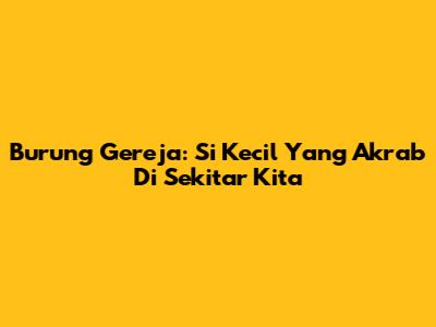 Burung Gereja: Si Kecil Yang Akrab Di Sekitar Kita
