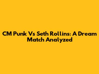 CM Punk Vs Seth Rollins: A Dream Match Analyzed