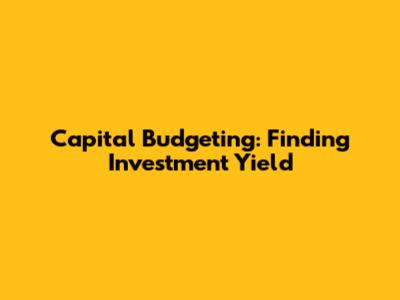 Capital Budgeting: Finding Investment Yield