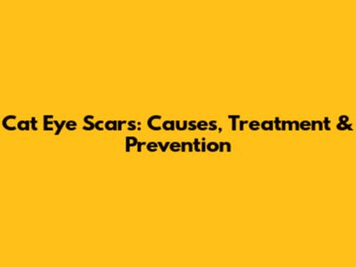 Cat Eye Scars: Causes, Treatment & Prevention