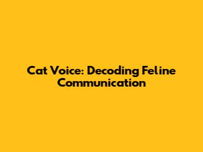 Cat Voice: Decoding Feline Communication