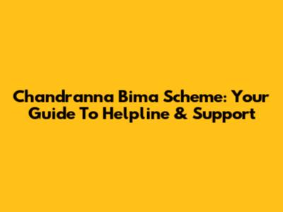 Chandranna Bima Scheme: Your Guide To Helpline & Support