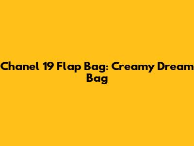 Chanel 19 Flap Bag: Creamy Dream Bag
