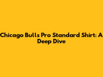Chicago Bulls Pro Standard Shirt: A Deep Dive