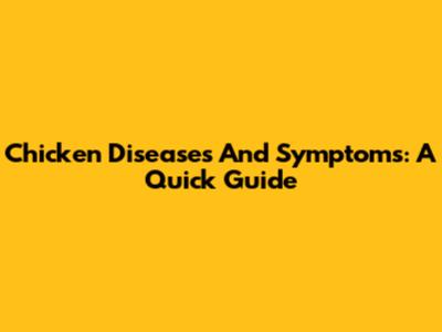 Chicken Diseases And Symptoms: A Quick Guide