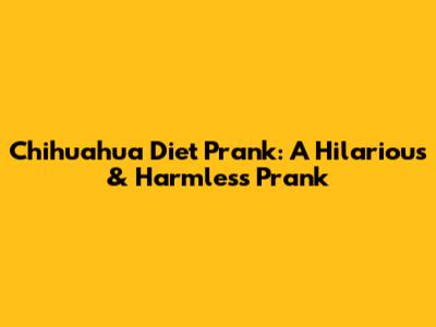 Chihuahua Diet Prank: A Hilarious & Harmless Prank
