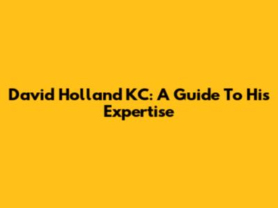David Holland KC: A Guide To His Expertise