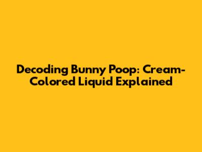 Decoding Bunny Poop: Cream-Colored Liquid Explained