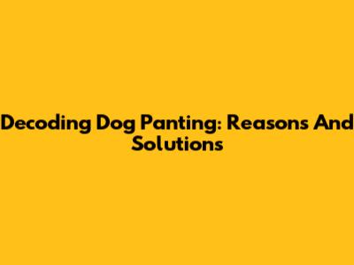 Decoding Dog Panting: Reasons And Solutions