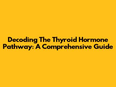 Decoding The Thyroid Hormone Pathway: A Comprehensive Guide