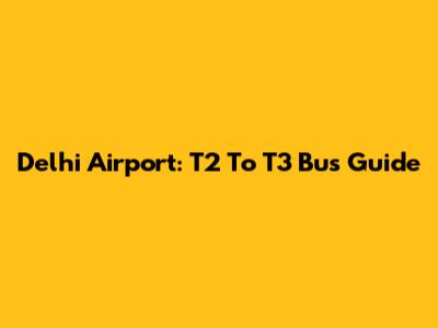 Delhi Airport: T2 To T3 Bus Guide