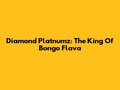 Diamond Platnumz: The King Of Bongo Flava